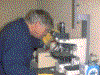 Jack_microscope.gif (17253 bytes)